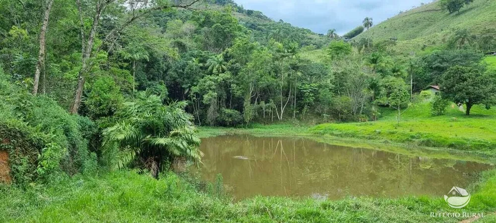 Sítio, 7 hectares - Foto 17
