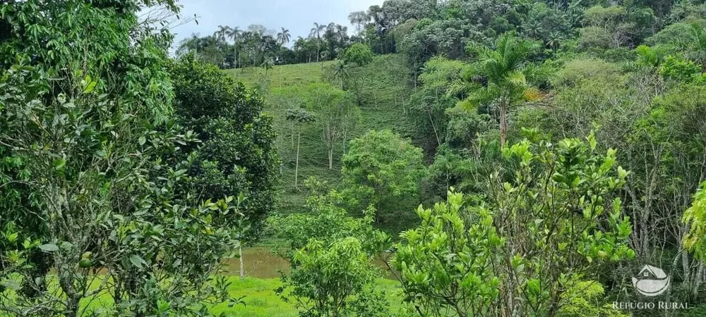Sítio, 7 hectares - Foto 11
