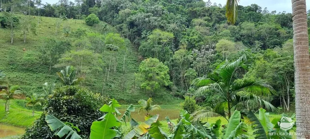Sítio, 7 hectares - Foto 19