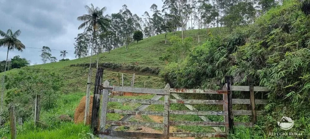 Sítio, 7 hectares - Foto 15