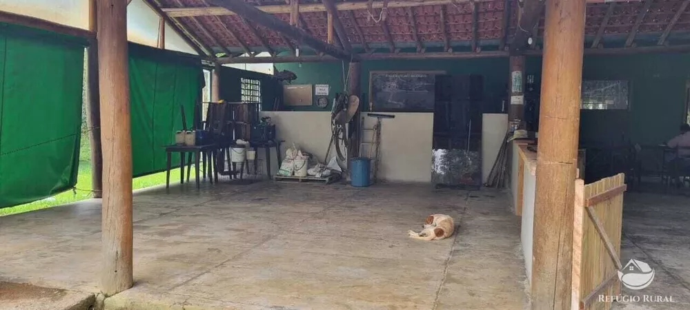 Sítio, 7 hectares - Foto 7