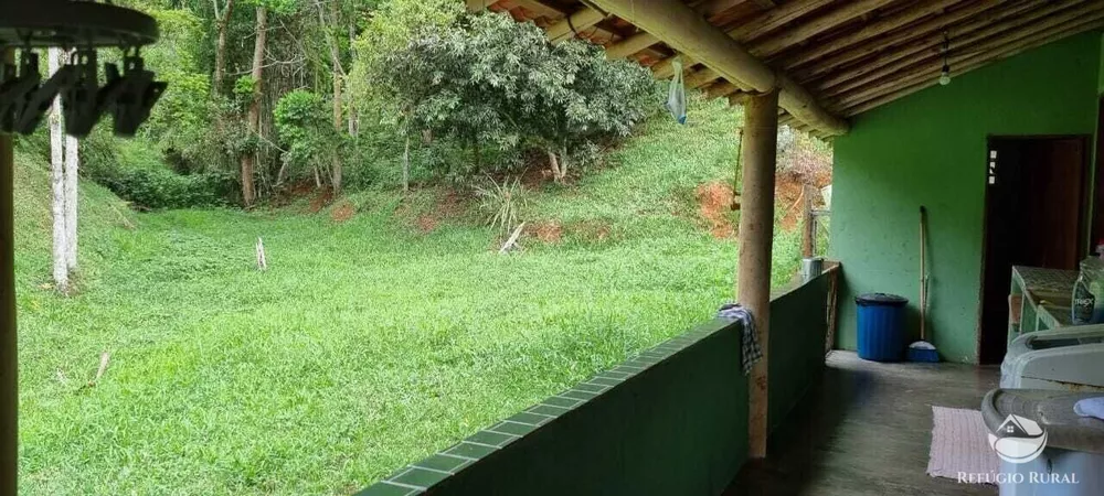 Sítio, 7 hectares - Foto 3