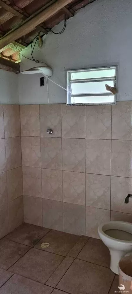 Sítio, 7 hectares - Foto 5