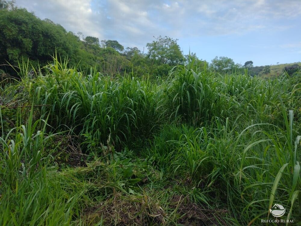 Terreno, 2 hectares - Foto 2