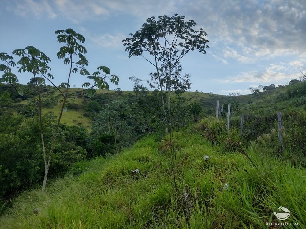 Terreno, 2 hectares - Foto 1