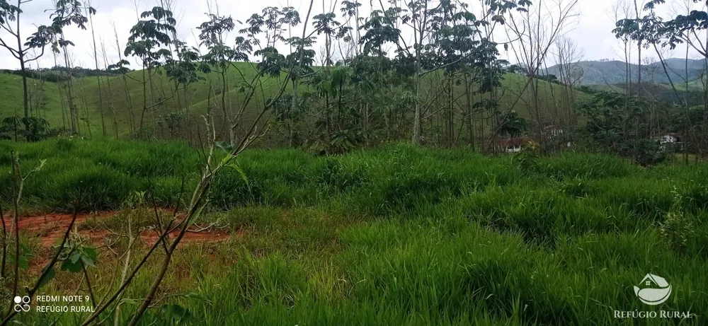 Terreno, 3 hectares - Foto 14
