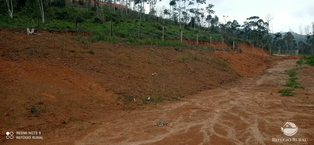 Terreno, 3 hectares - Foto 1