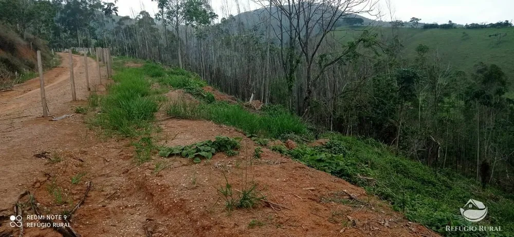 Terreno, 3 hectares - Foto 8