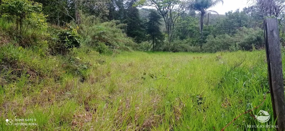 Terreno, 3 hectares - Foto 8