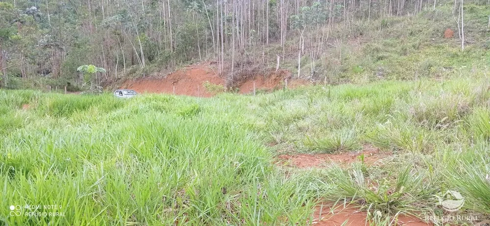 Terreno, 3 hectares - Foto 6