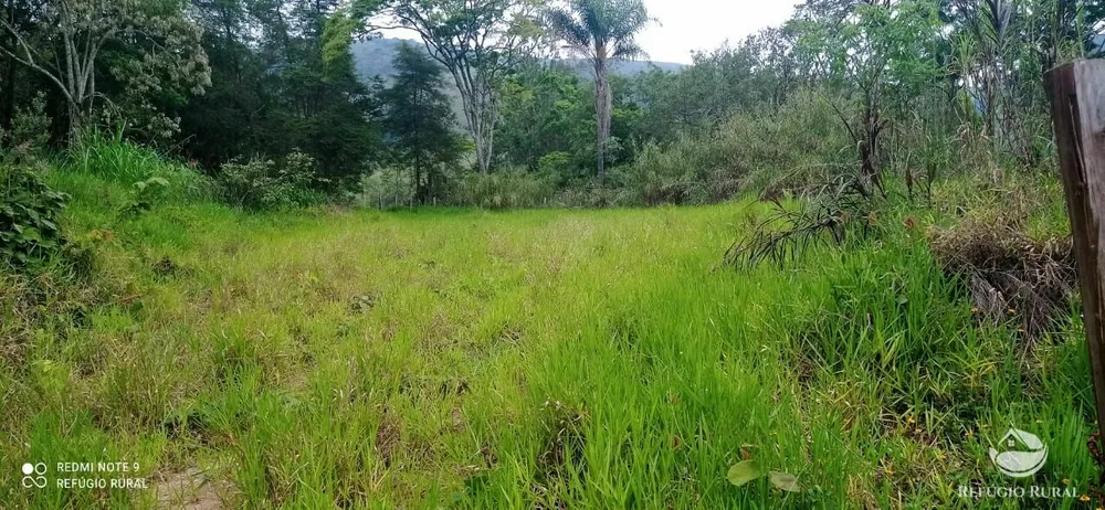Terreno, 3 hectares - Foto 4