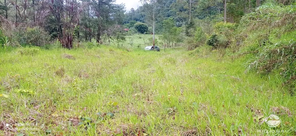 Terreno, 3 hectares - Foto 11