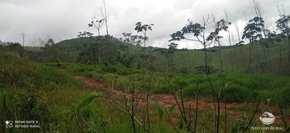 Terreno, 3 hectares - Foto 15