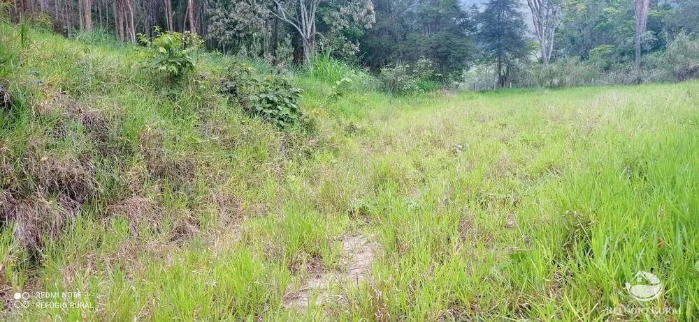 Terreno, 3 hectares - Foto 2