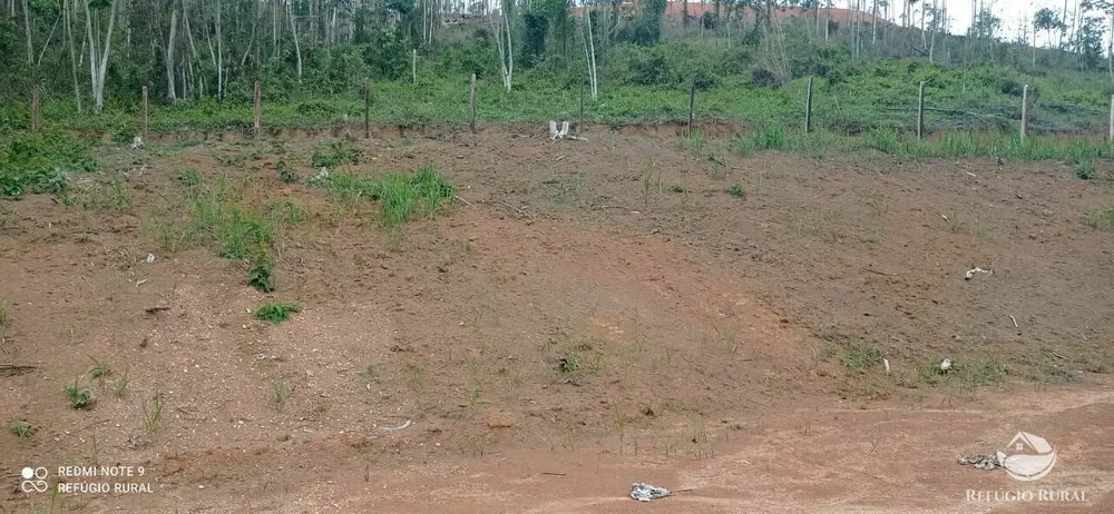 Terreno, 3 hectares - Foto 1