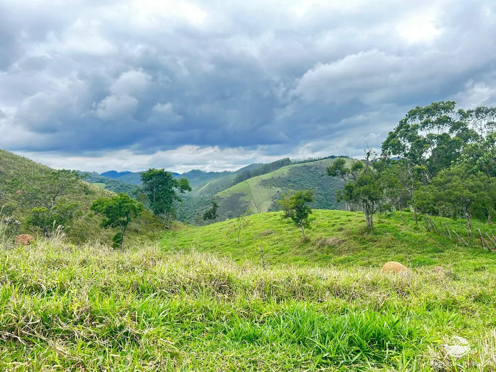 Terreno, 2 hectares - Foto 7