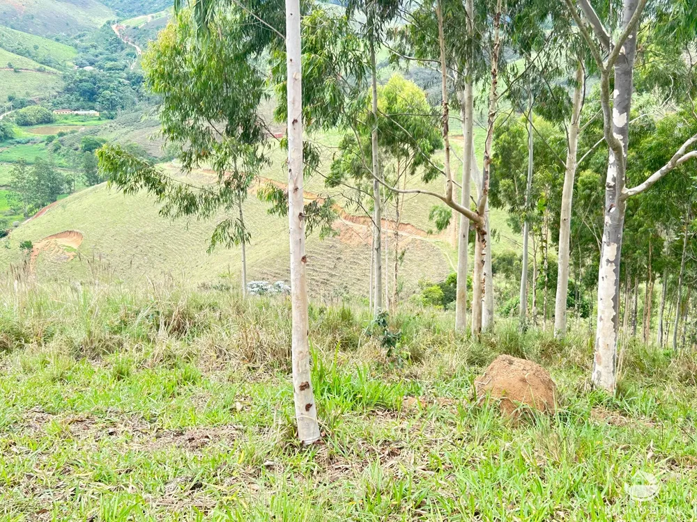 Terreno, 2 hectares - Foto 1