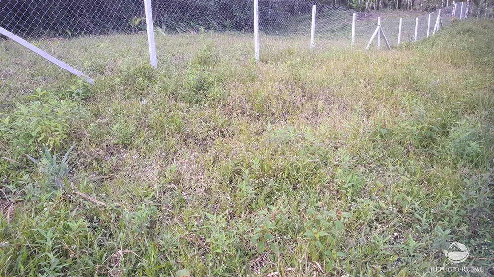 Sítio, 24 hectares - Foto 13
