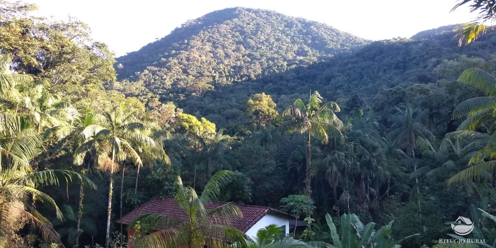 Sítio, 24 hectares - Foto 4