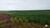 Fazenda-Sítio-Chácara, 3012 hectares - Foto 1