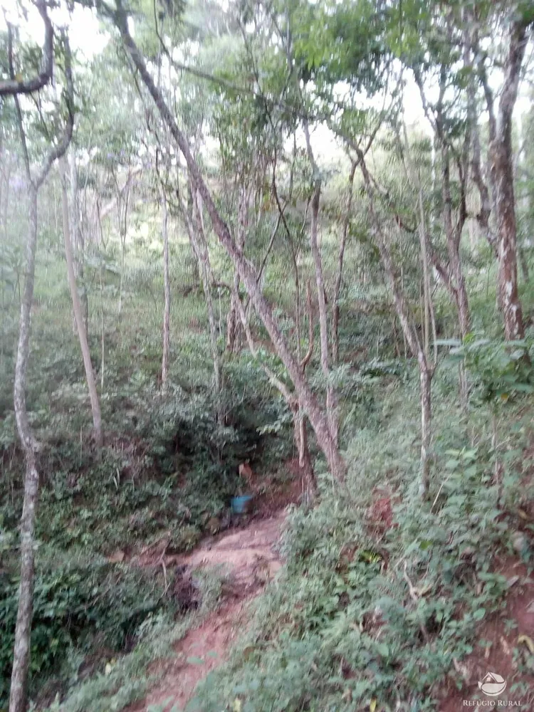 Chácara, 6 hectares - Foto 3