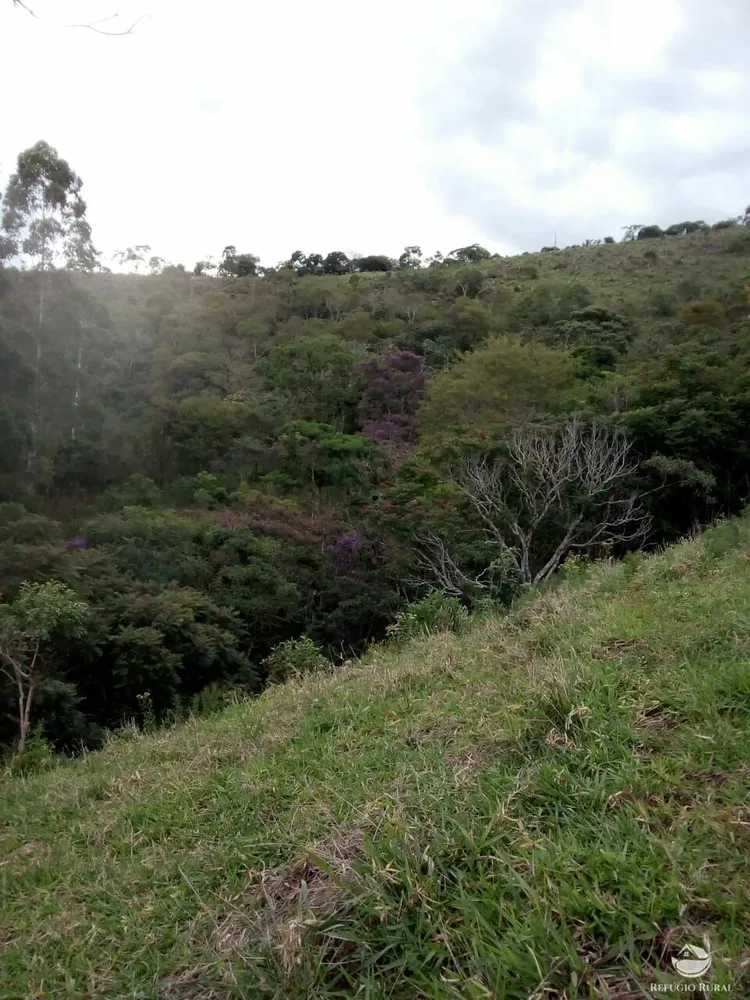 Chácara, 6 hectares - Foto 2
