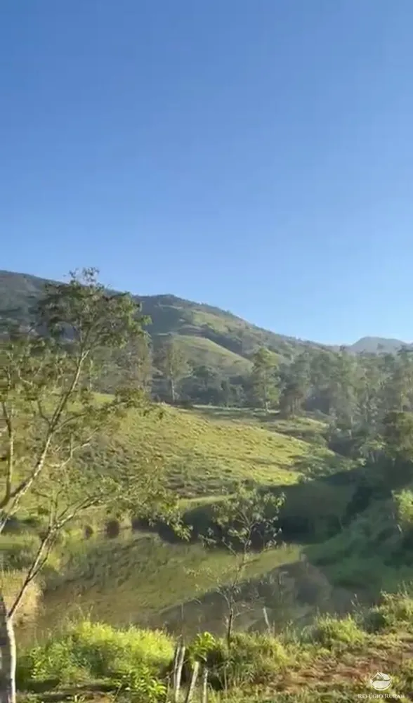Sítio, 87 hectares - Foto 1