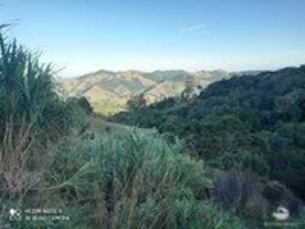 Sítio, 15 hectares - Foto 16