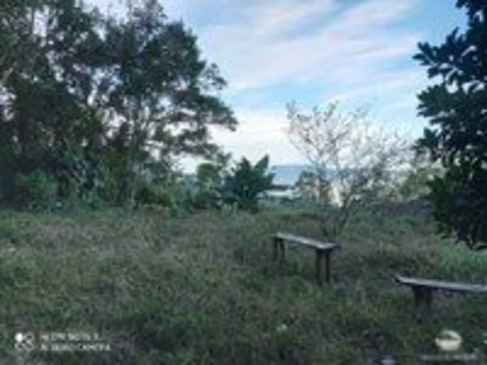 Sítio, 15 hectares - Foto 17