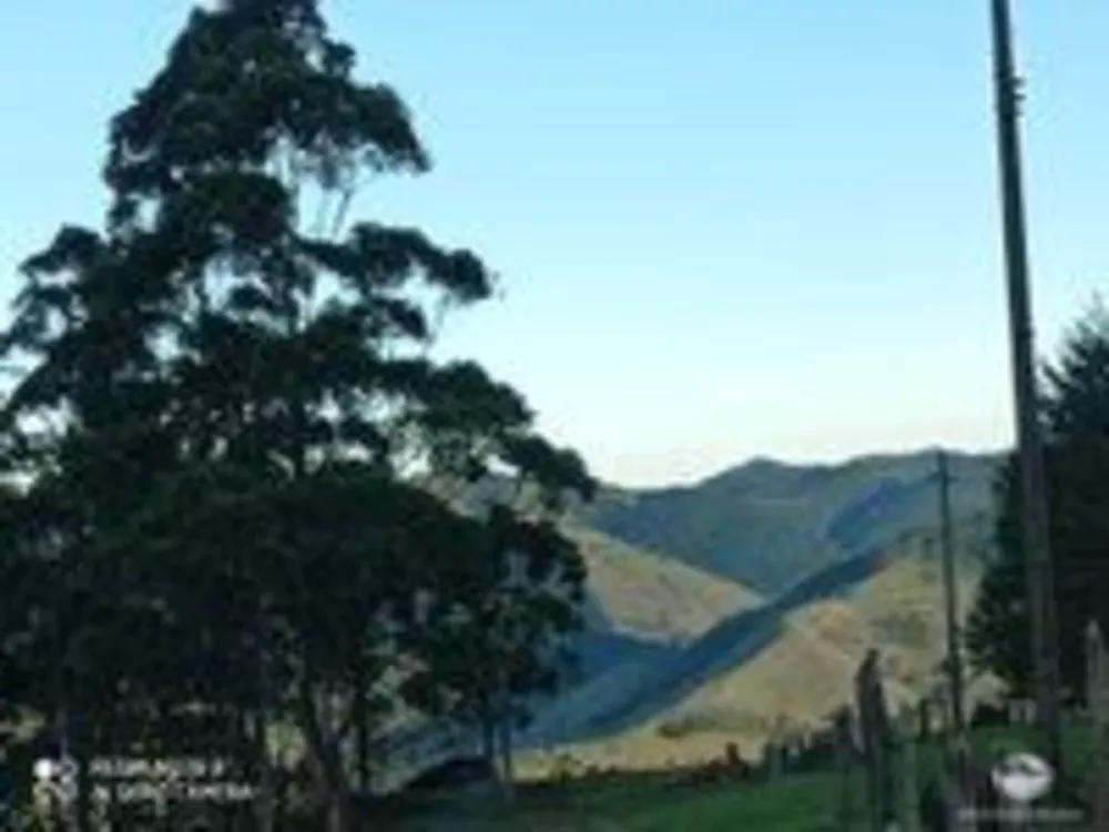 Sítio, 1 quarto, 15 hectares - Foto 1