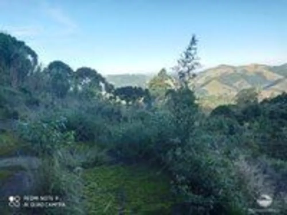 Sítio, 1 quarto, 15 hectares - Foto 2