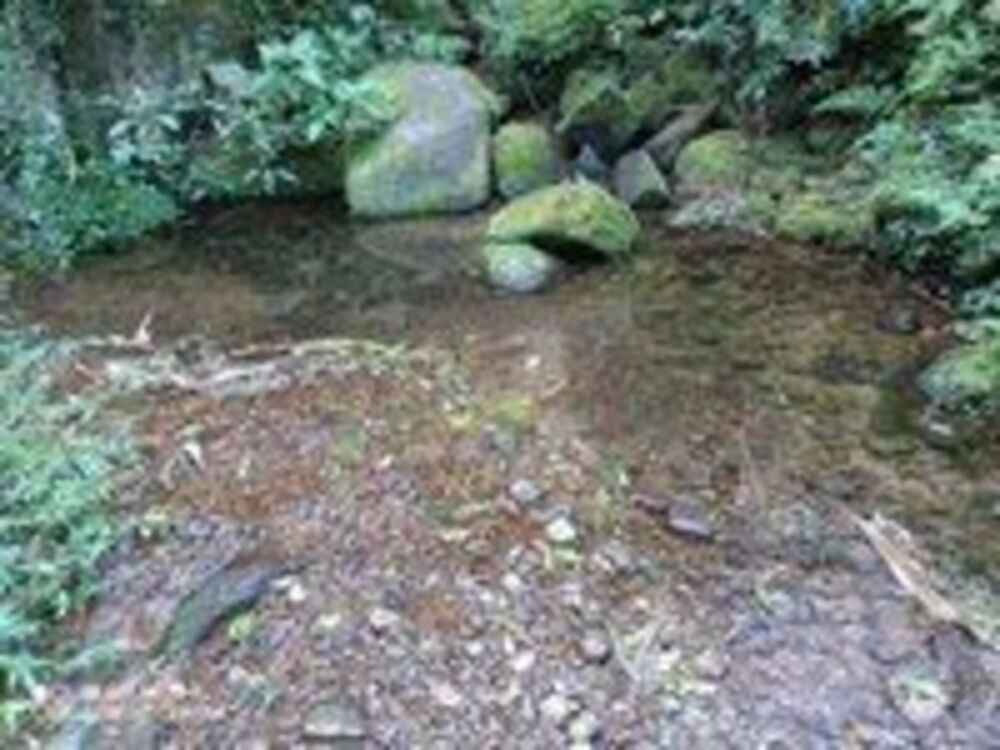 Sítio, 1 quarto, 15 hectares - Foto 7