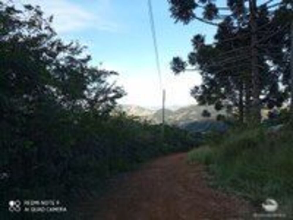 Sítio, 1 quarto, 15 hectares - Foto 6