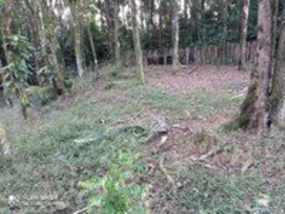 Sítio, 1 quarto, 15 hectares - Foto 3