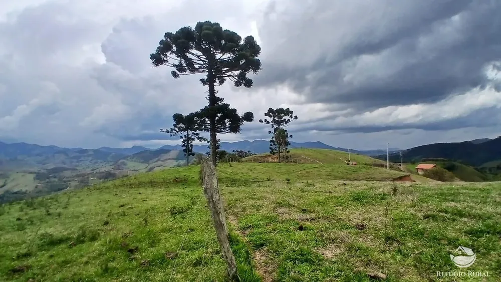 Terreno, 17 hectares - Foto 10