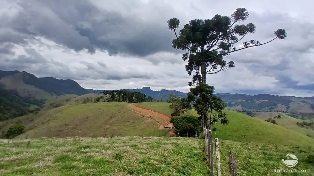 Terreno, 17 hectares - Foto 12
