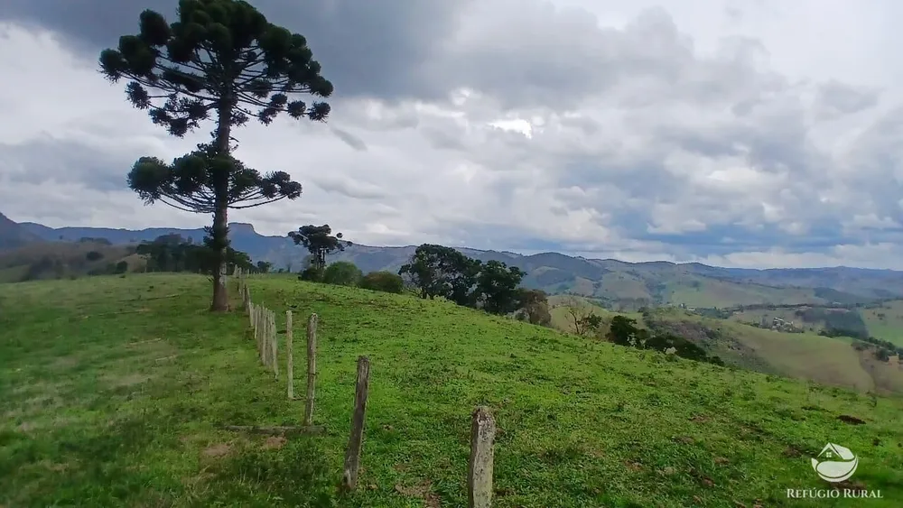 Terreno, 17 hectares - Foto 1
