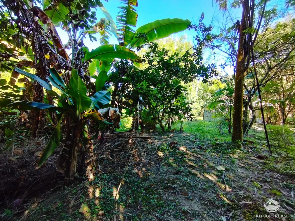 Sítio, 12 hectares - Foto 10