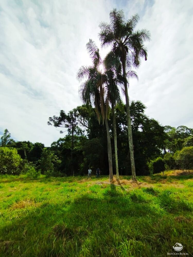 Sítio, 2 quartos - Foto 26