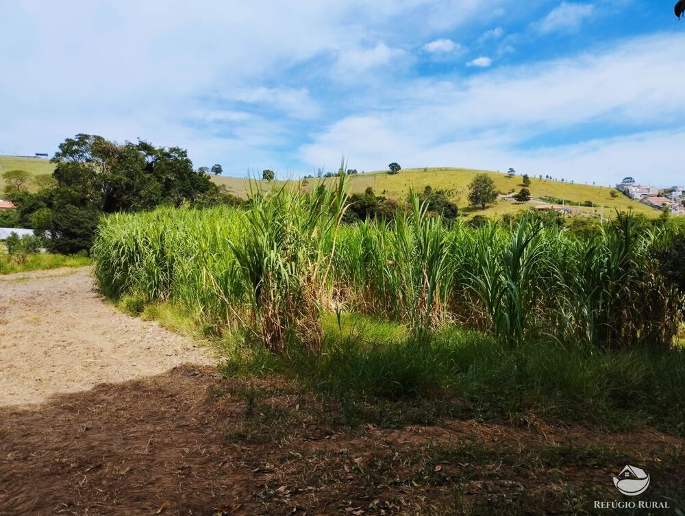 Sítio, 2 quartos - Foto 24