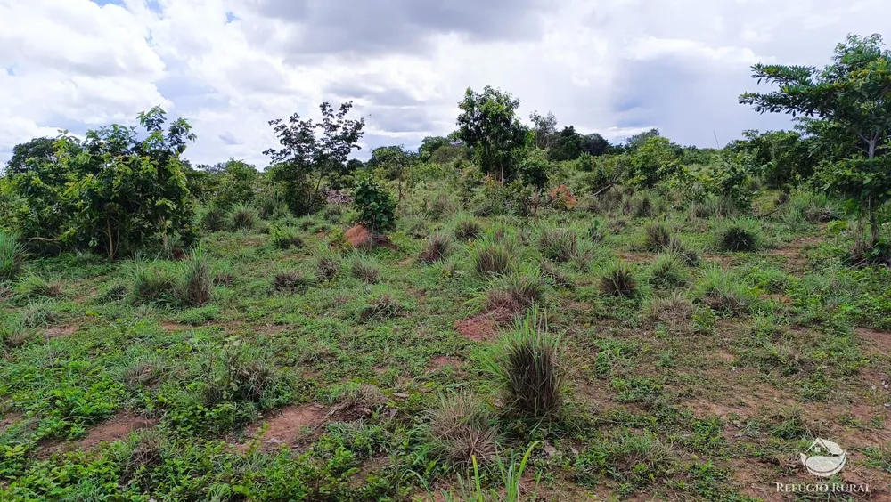 Fazenda, 799 hectares - Foto 12