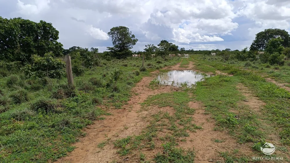 Fazenda, 799 hectares - Foto 8
