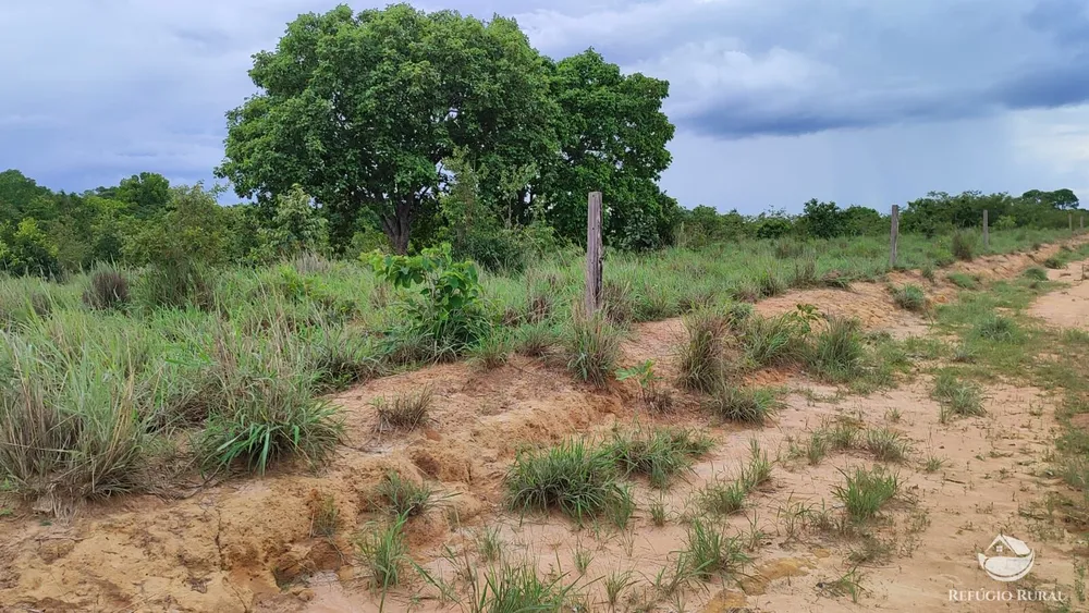 Fazenda, 799 hectares - Foto 3