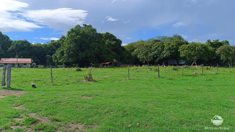 Fazenda, 799 hectares - Foto 2