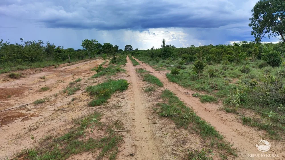 Fazenda, 799 hectares - Foto 4