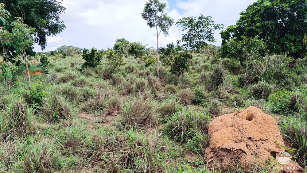 Fazenda, 799 hectares - Foto 1