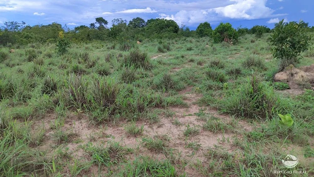 Fazenda, 799 hectares - Foto 4