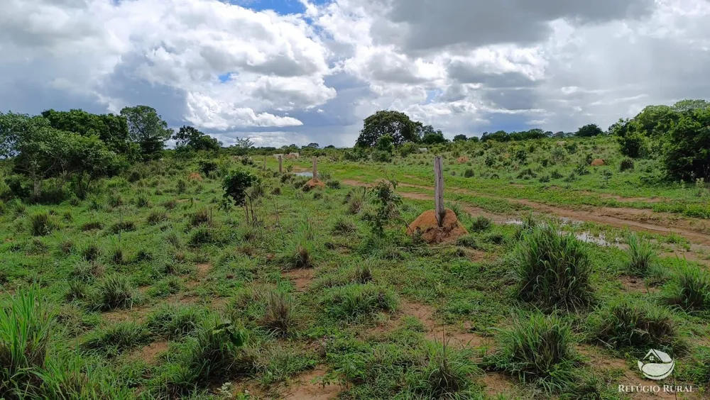 Fazenda, 799 hectares - Foto 3