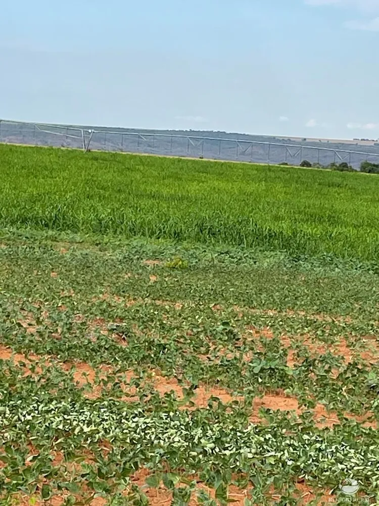 Fazenda, 1852 hectares - Foto 3