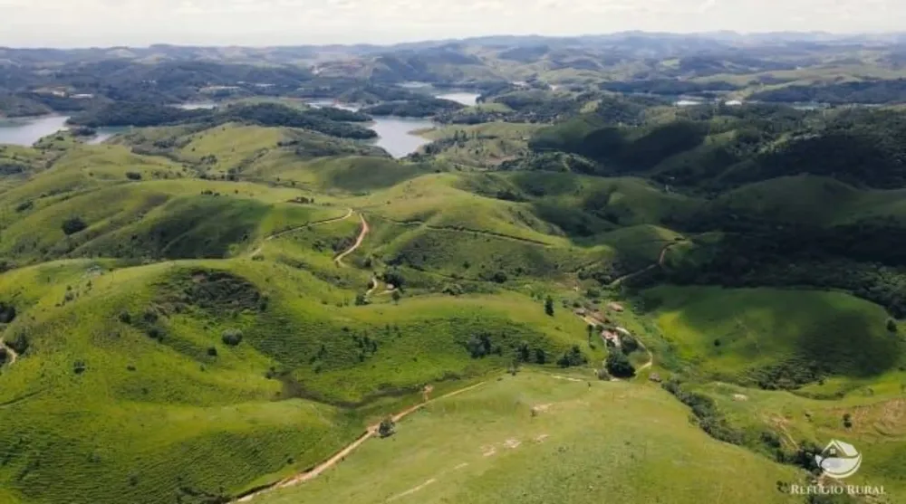 Fazenda, 316 hectares - Foto 12